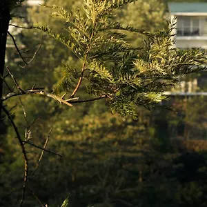 *** Resort Falcon Crest India